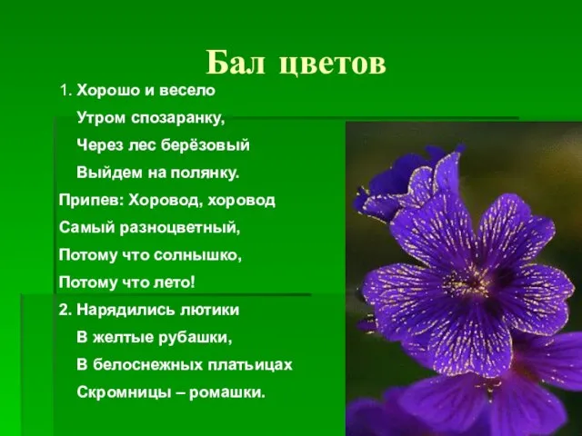 Бал цветов 1. Хорошо и весело Утром спозаранку, Через лес берёзовый