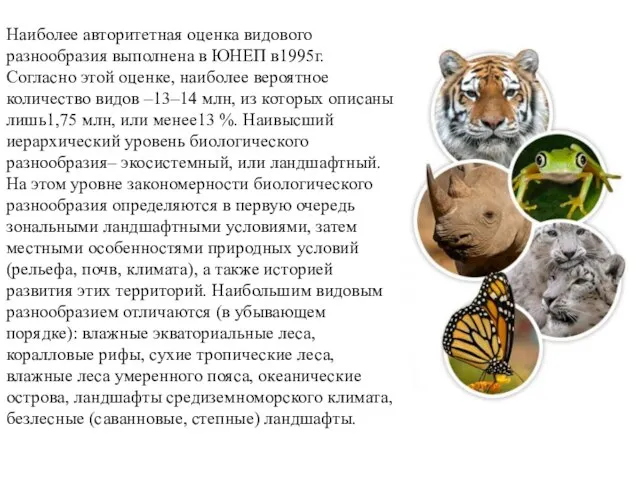 Наиболее авторитетная оценка видового разнообразия выполнена в ЮНЕП в1995г. Согласно этой