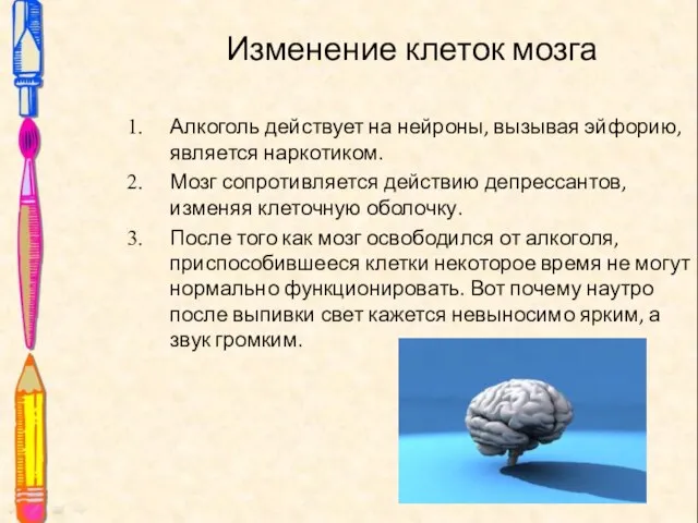 Изменение клеток мозга Алкоголь действует на нейроны, вызывая эйфорию, является наркотиком.