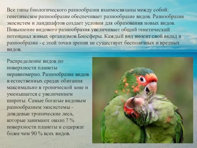 Все типы биологического разнообразия взаимосвязаны между собой: генетическое разнообразие обеспечивает разнообразие