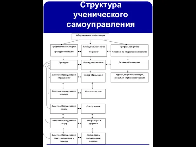 Структура ученического самоуправления