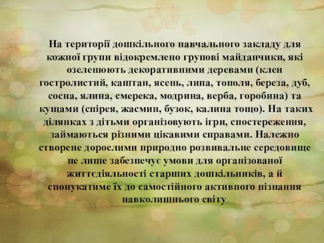 На території дошкільного навчального закладу для кожної групи відокремлено групові майданчики,