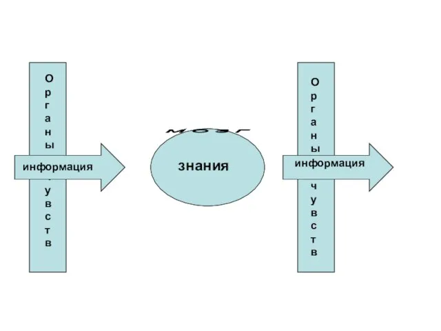 Органы чувств информация знания Органы чувств информация М О З Г