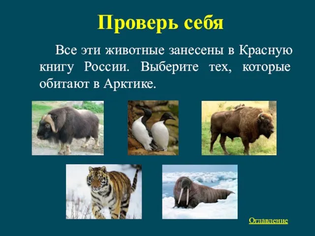 Проверь себя Все эти животные занесены в Красную книгу России. Выберите