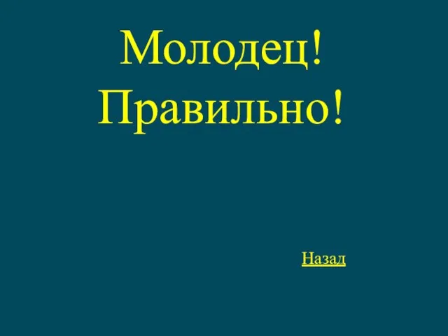 Молодец! Правильно! Назад