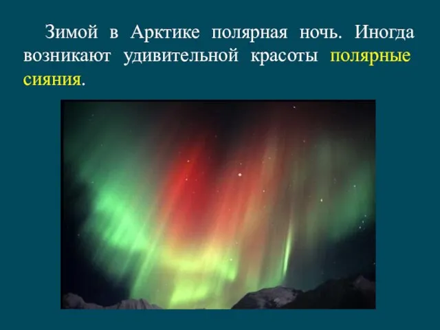 Зимой в Арктике полярная ночь. Иногда возникают удивительной красоты полярные сияния.