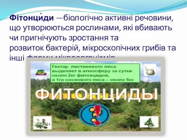 Фітонци́ди —біологічно активні речовини, що утворюються рослинами, які вбивають чи пригнічують