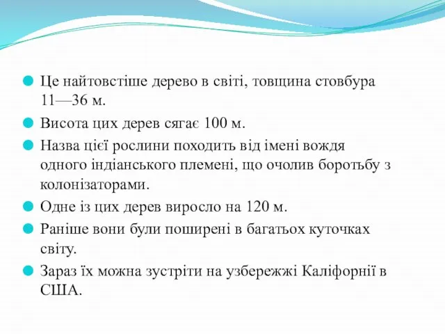 Це найтовстіше дерево в світі, товщина стовбура 11—36 м. Висота цих