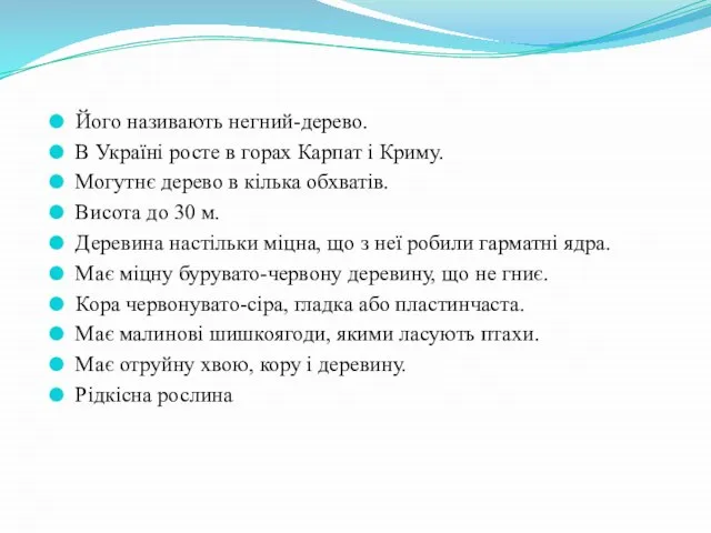 Його називають негний-дерево. В Україні росте в горах Карпат і Криму.