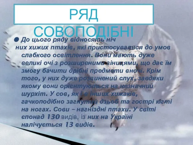 До цього ряду відносять ніч них хижих птахів, які пристосувалися до