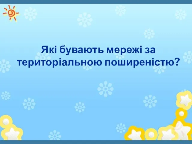 Які бувають мережі за територіальною поширеністю?