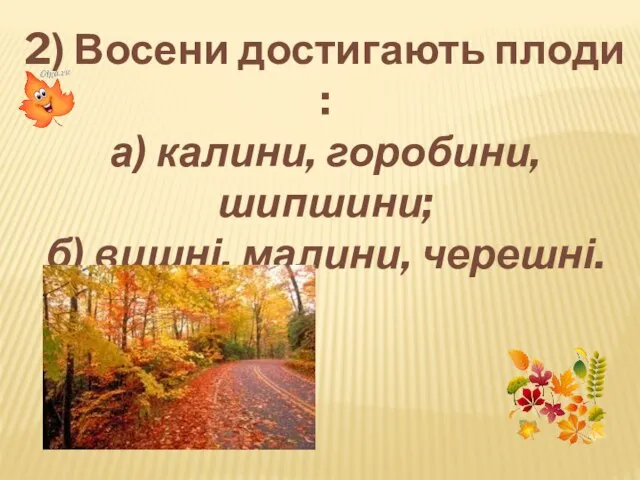 2) Восени достигають плоди : а) калини, горобини, шипшини; б) вишні, малини, черешні.