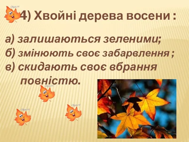 а) залишаються зеленими; б) змінюють своє забарвлення ; в) скидають своє