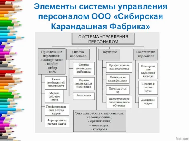 Элементы системы управления персоналом ООО «Сибирская Карандашная Фабрика» СИСТЕМА УПРАВЛЕНИЯ ПЕРСОНАЛОМ