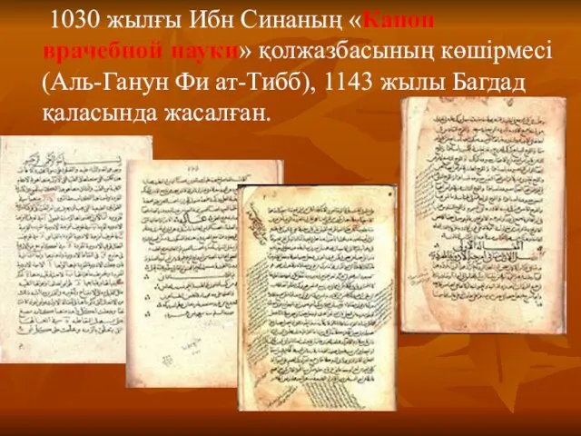 1030 жылғы Ибн Синаның «Канон врачебной науки» қолжазбасының көшірмесі (Аль-Ганун Фи