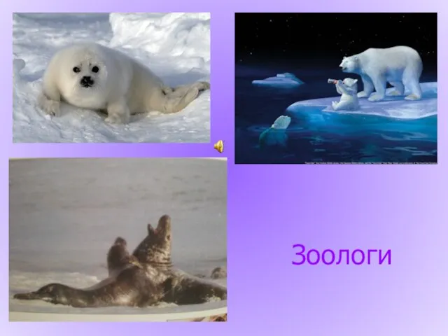 Зоологи