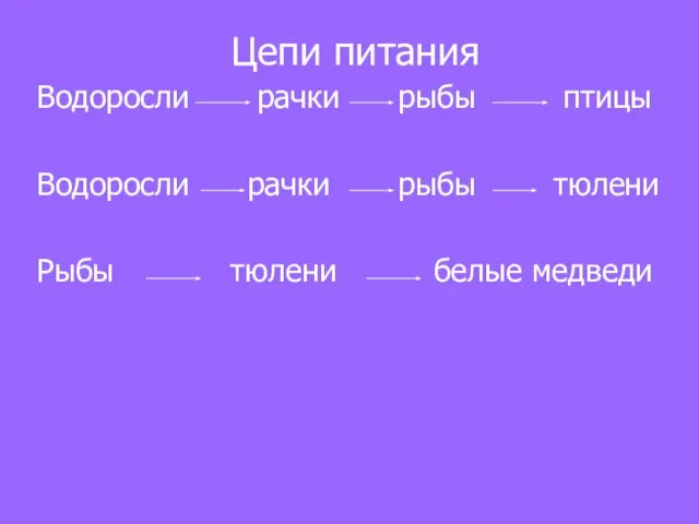 Цепи питания Водоросли рачки рыбы птицы Водоросли рачки рыбы тюлени Рыбы тюлени белые медведи