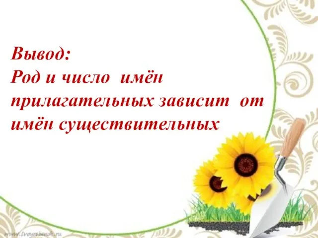 Вывод: Род и число имён прилагательных зависит от имён существительных