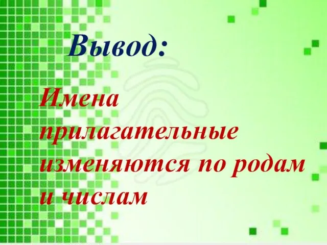 Имена прилагательные изменяются по родам и числам Вывод: