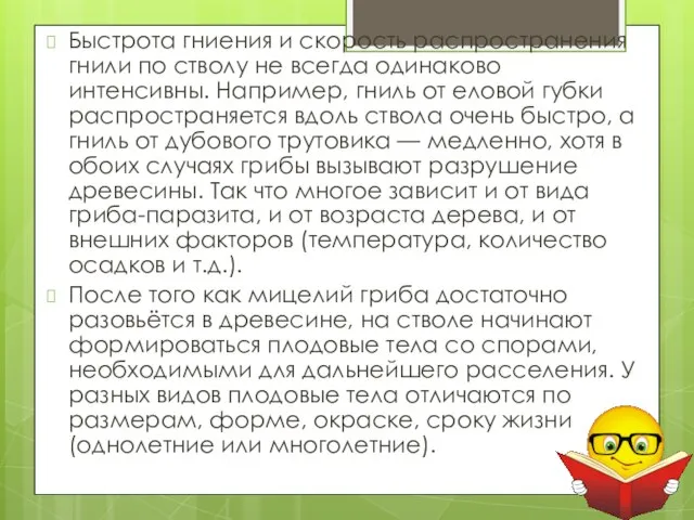 Быстрота гниения и скорость распространения гнили по стволу не всегда одинаково