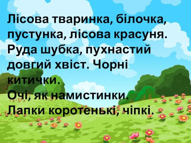 Лісова тваринка, білочка, пустунка, лісова красуня. Руда шубка, пухнастий довгий хвіст.