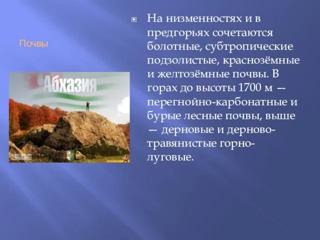 Почвы На низменностях и в предгорьях сочетаются болотные, субтропические подзолистые, краснозёмные