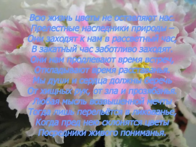 Всю жизнь цветы не оставляют нас. Прелестные наследники природы – Они