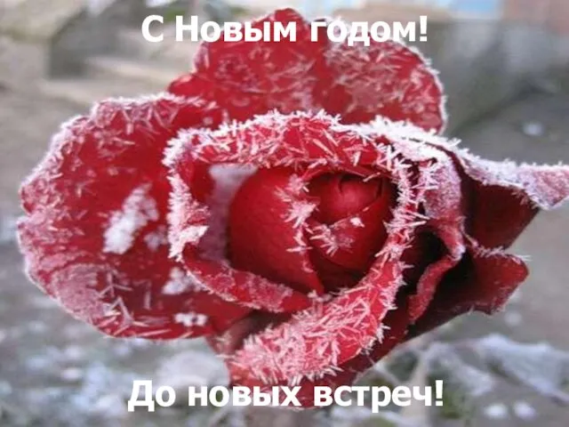 С Новым годом! До новых встреч!