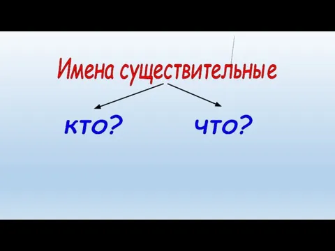 что? кто? Имена существительные