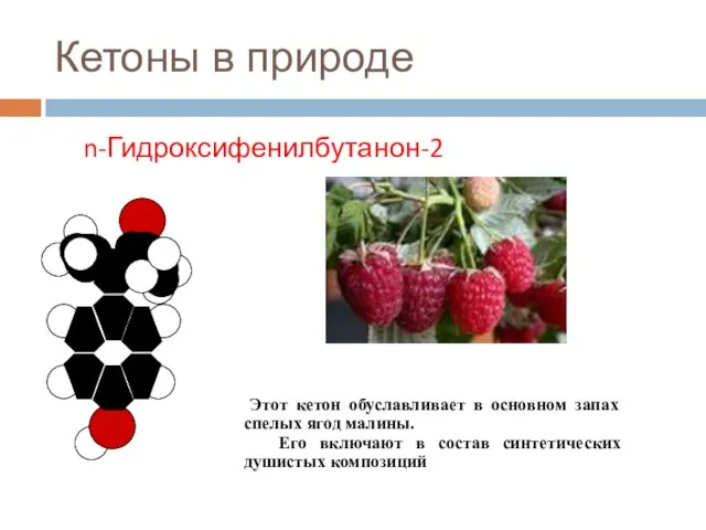 Кетоны в природе n-Гидроксифенилбутанон-2 Этот кетон обуславливает в основном запах спелых