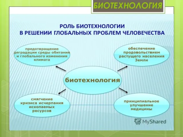 биотехнология