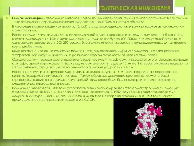 Генетическая инженерия Генная инженерия – это сумма методов, позволяющих переносить гены