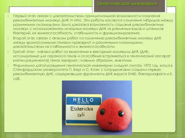 гене Первый этап связан с доказательством принципиальной возможности получения рекомбинантных молекул