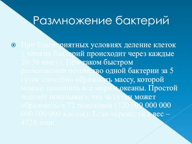 Размножение бактерий При благоприятных условиях деление клеток у многих бактерий происходит