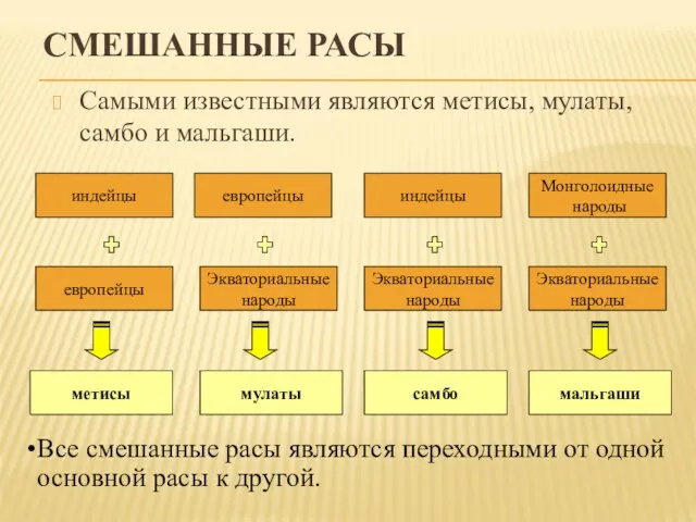 СМЕШАННЫЕ РАСЫ Самыми известными являются метисы, мулаты, самбо и мальгаши. европейцы