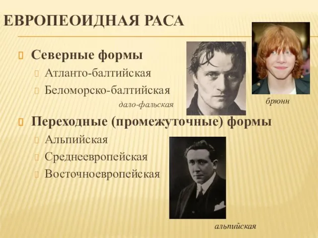 ЕВРОПЕОИДНАЯ РАСА Северные формы Атланто-балтийская Беломорско-балтийская дало-фальская Переходные (промежуточные) формы Альпийская Среднеевропейская Восточноевропейская брюнн альпийская