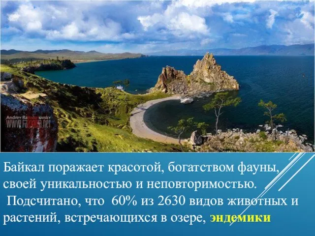 Байкал поражает красотой, богатством фауны, своей уникальностью и неповторимостью. Подсчитано, что