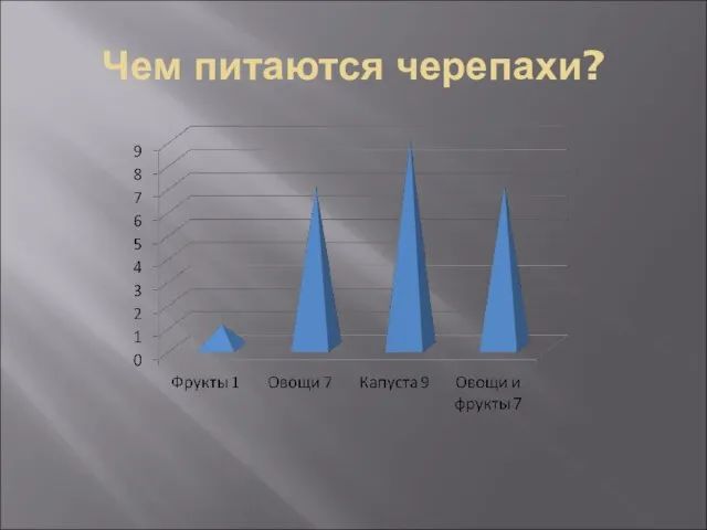 Чем питаются черепахи?