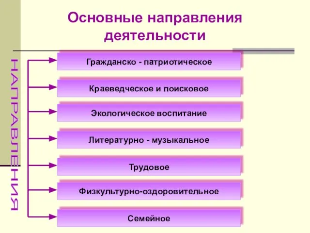 Основные направления деятельности Гражданско - патриотическое Краеведческое и поисковое Экологическое воспитание