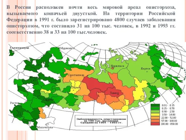 В России расположен почти весь мировой ареал описторхоза, вызываемого кошачьей двуусткой.