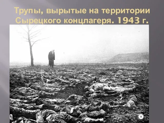 Трупы, вырытые на территории Сырецкого концлагеря. 1943 г.