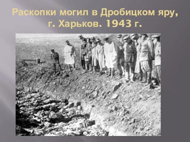 Раскопки могил в Дробицком яру, г. Харьков. 1943 г.