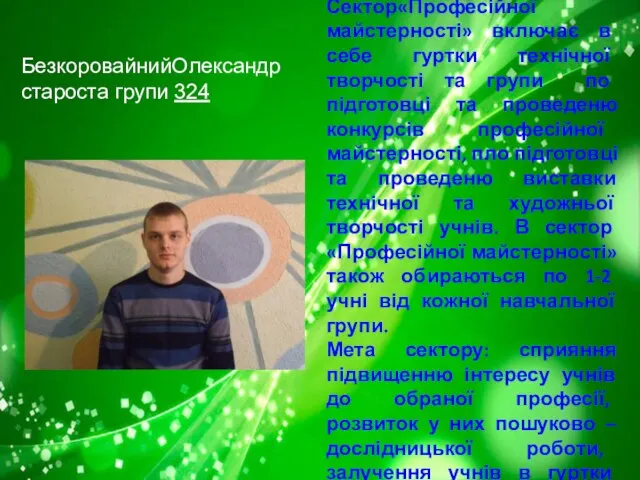 Сектор«Професійної майстерності» включає в себе гуртки технічної творчості та групи по