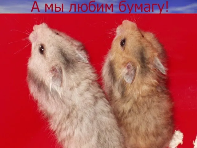 A мы любим бумагу!