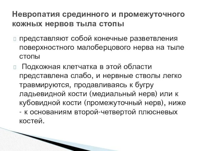 представляют собой конечные разветвления поверхностного малоберцового нерва на тыле стопы Подкожная