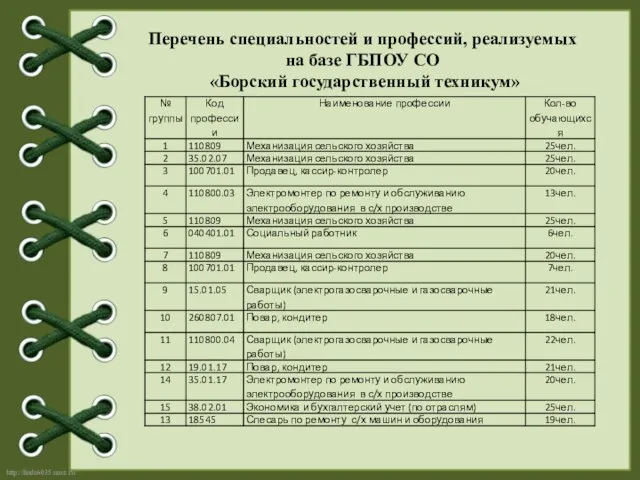 Перечень специальностей и профессий, реализуемых на базе ГБПОУ СО «Борский государственный техникум»