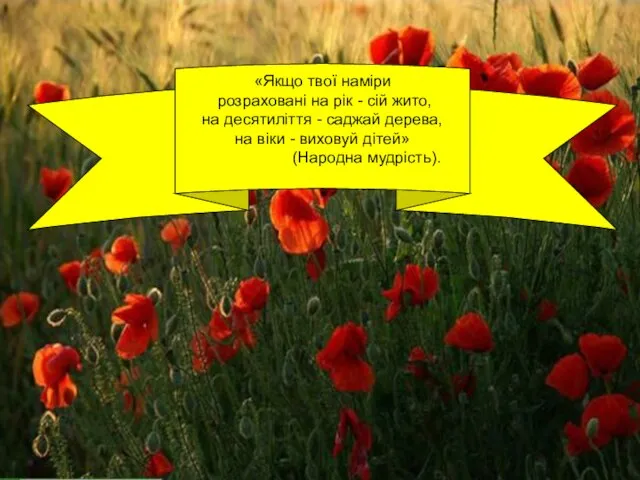 «Якщо твої наміри розраховані на рік - сій жито, на десятиліття