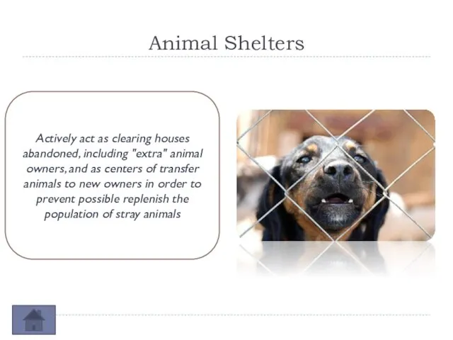 Animal Shelters Actively act as clearing houses abandoned, including "extra" animal