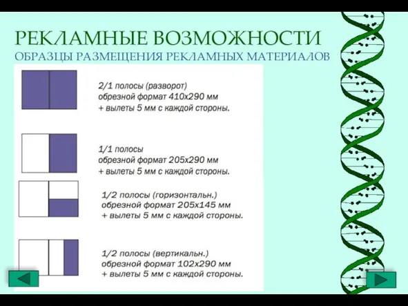 РЕКЛАМНЫЕ ВОЗМОЖНОСТИ ОБРАЗЦЫ РАЗМЕЩЕНИЯ РЕКЛАМНЫХ МАТЕРИАЛОВ