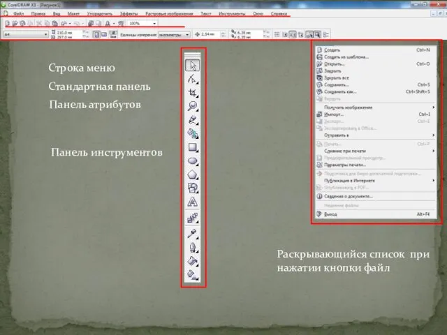 Строка меню Стандартная панель Панель атрибутов Панель инструментов Раскрывающийся список при нажатии кнопки файл